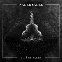 Nader Sadek